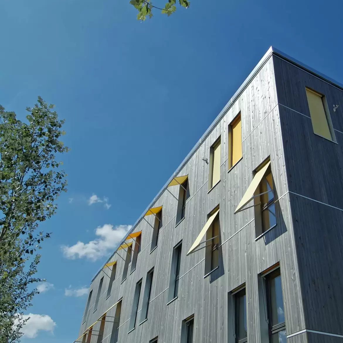 green-offices-premier-batiment-administratif-minergie-p-eco-4.jpg
